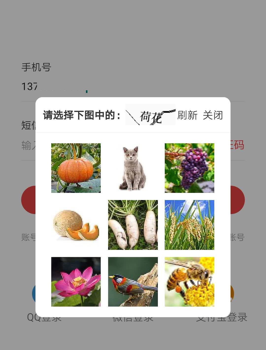 多用戶商城系統(tǒng)驗證碼
