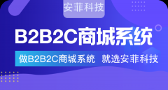 探尋|企業(yè)開發(fā)B2B2C電商系統(tǒng)有什么價(jià)值