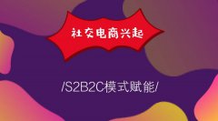 成熟的s2b2c平臺(tái)有哪些